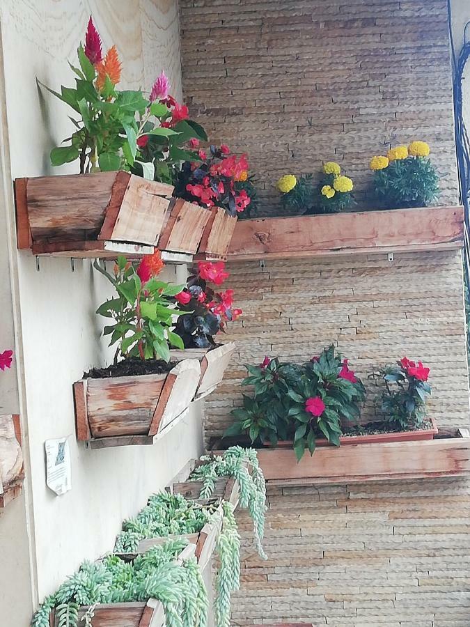 Hostal Casa Paraisoメデジン エクステリア 写真